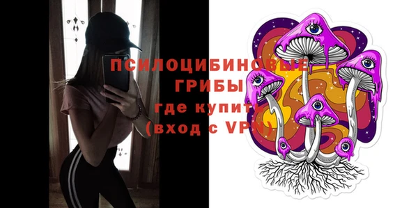 героин Няндома