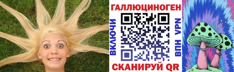 мега как зайти  Советск  Псилоцибиновые грибы MAGIC MUSHROOMS 