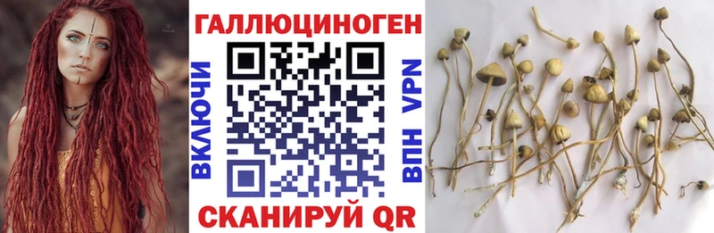 Галлюциногенные грибы Cubensis Советск